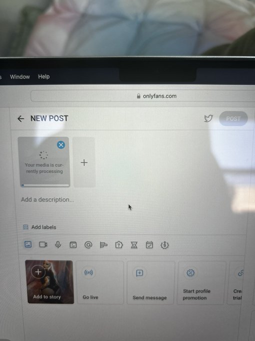 Everything is taking 45 years to upload  I wanna scream https://t.co/bxMmc9DxBK