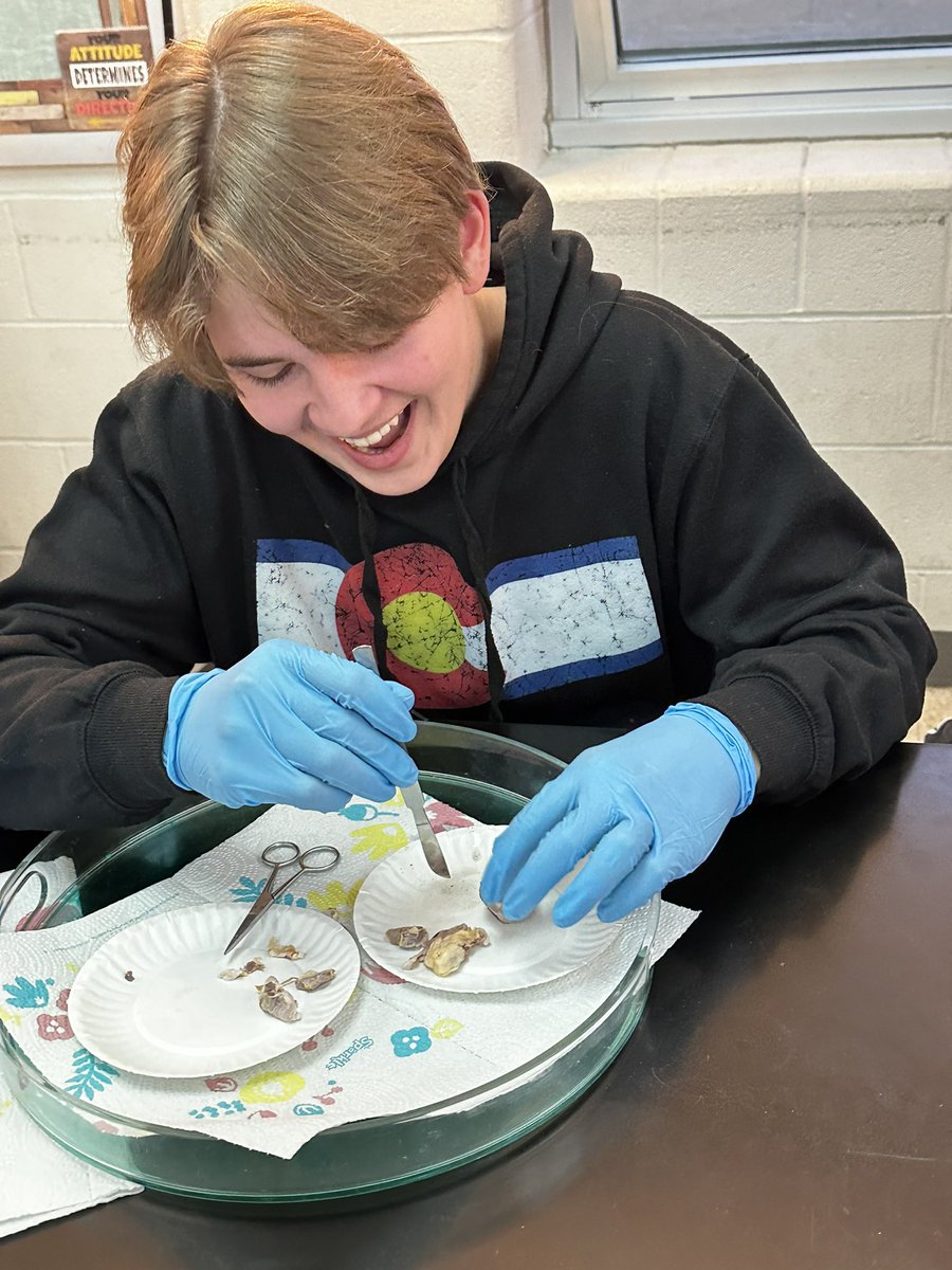 First hour eye dissection day!  Learning about light waves and how our eyes work!