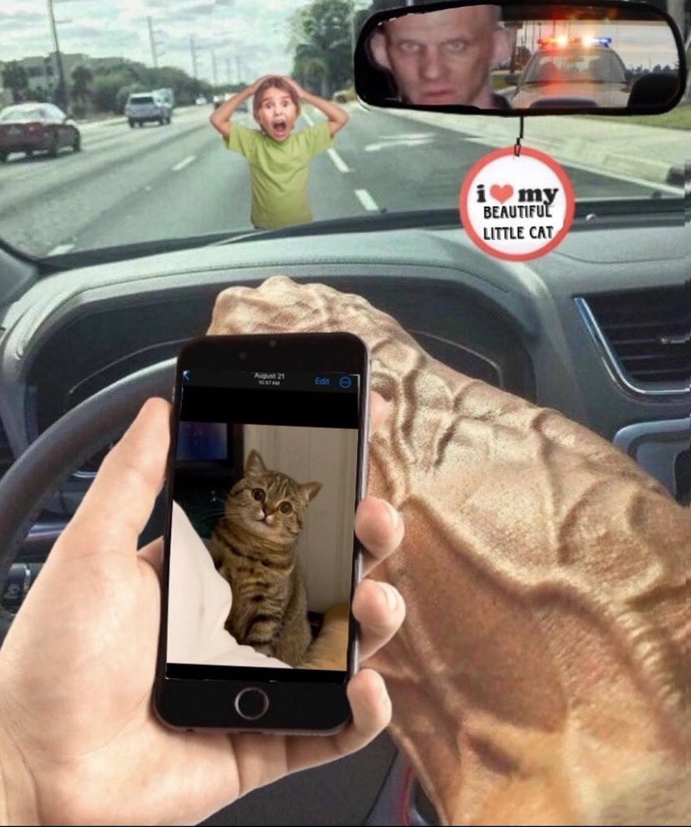 no context memes (@weirddalle) on Twitter photo 