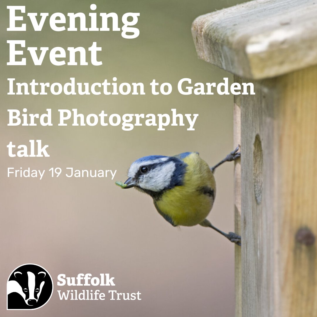 Next week! An Introduction to Garden Bird Photography by award winning photographer Kevin Sawford here at Carlton Marshes. An evening of insider tips and tricks to capturing garden Photography 🟢 Book your place at suffolkwildlifetrust.org/events/2024-01…