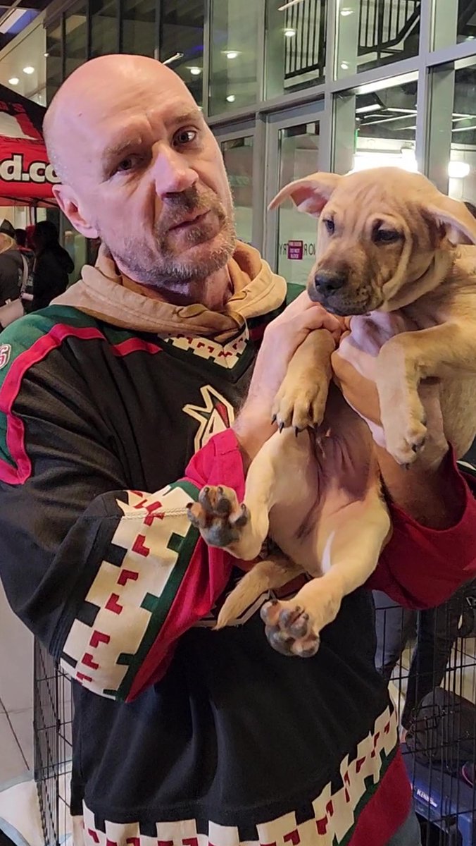 Lost Our Home tweet media