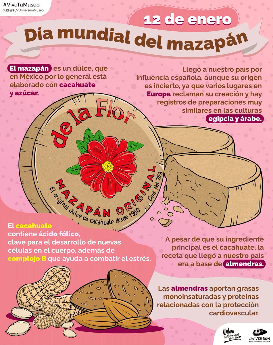 Universum Museo tweet media