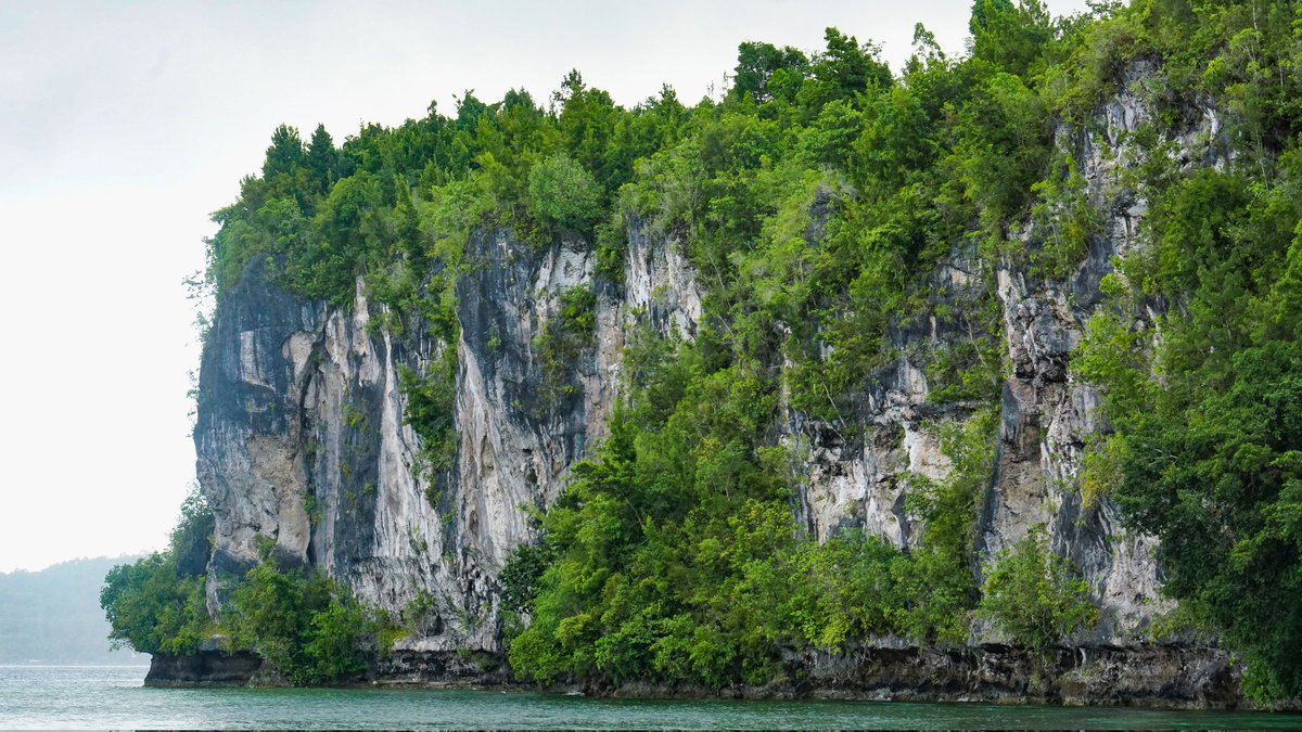 Enouze1's tweet photo. Dinding batu karang
📍Pantai Padwa, Biak Selatan, Papua https://t.co/vKiWyNp9nW