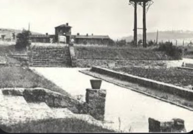 Jew in a Canoe ✡️🇨🇦 memoir now available! tweet media