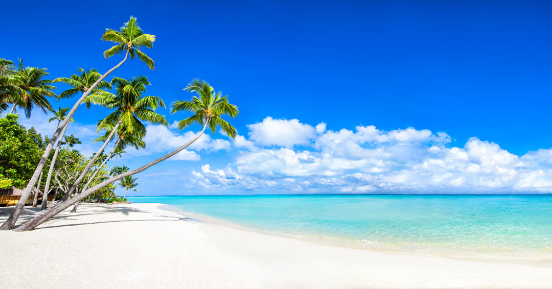 Dunn4Authors's tweet photo. It's Aloha Friday
The nickname for the State of Hawai'i is the Āloha State. On Āugust 21, 1959, Hawai'i became the 50th State.
#AlohaFriday #ItsAlohaFriday #AlohaSpirit #AlohaState #AlohaStateOfMind #AlohaHawaii #AlohaKakahiaka #hawaii #LuckyWeLiveHawaii https://t.co/5Xa2ivUn9U