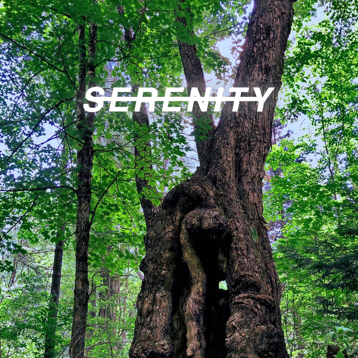 SERENITY from <a href="/jacobspeakstrth/">Jacob</a> is out now!!!