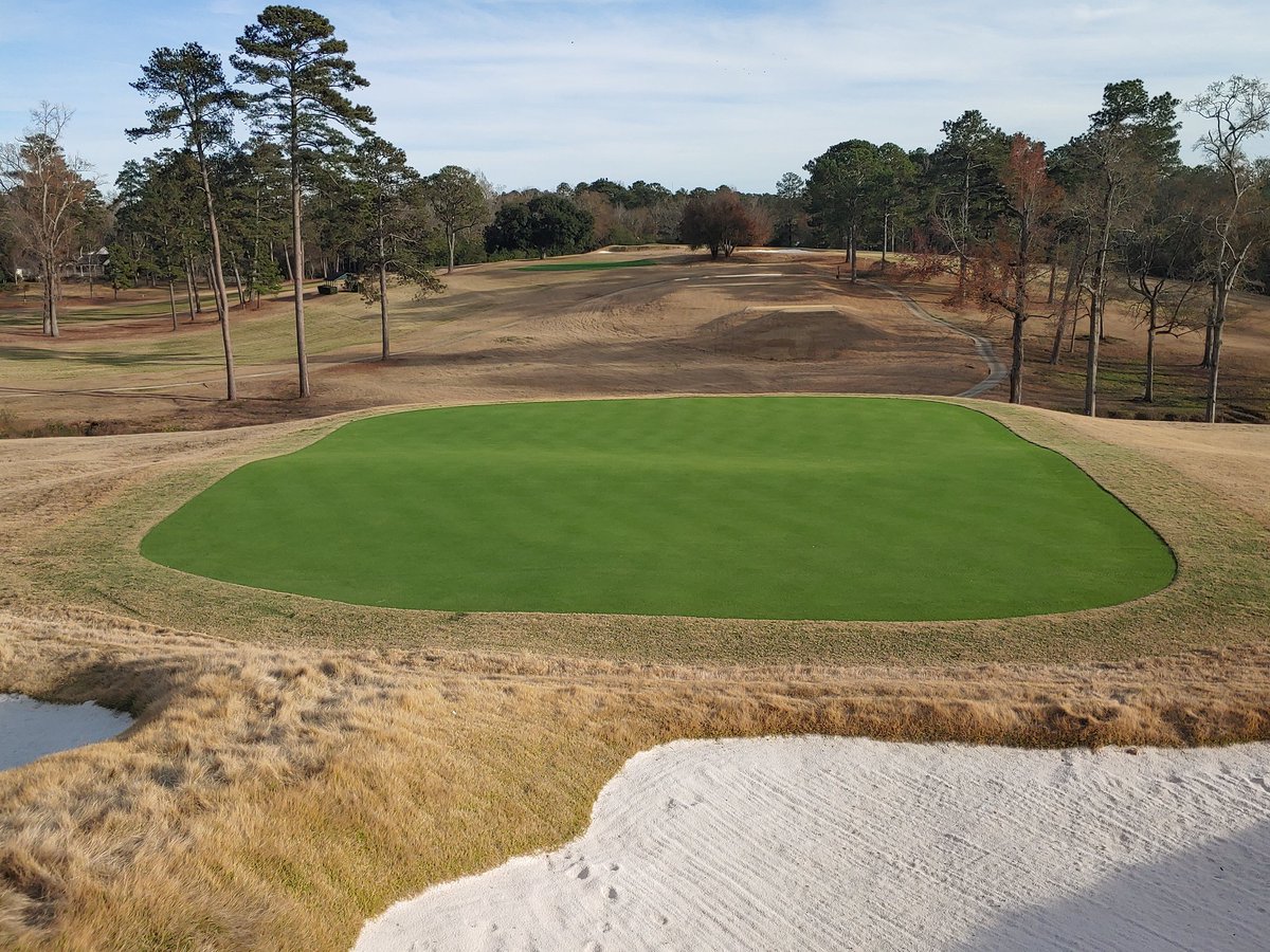 Richard Hurley, PhD tweet media