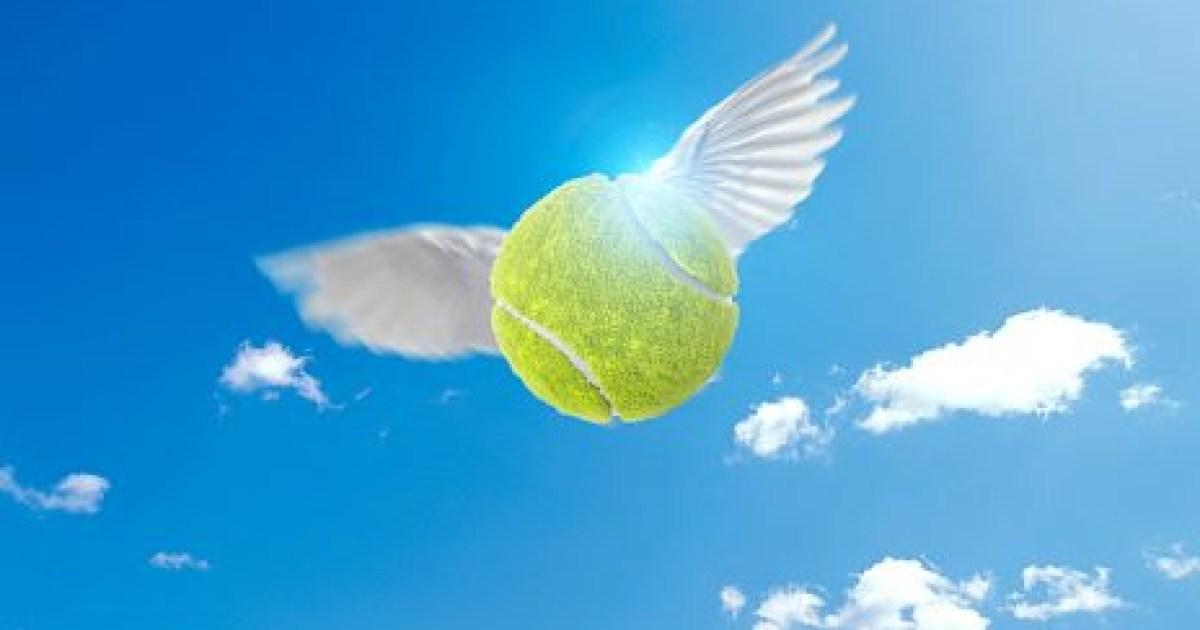 Hubbaltd's tweet photo. They just keep on coming! Sorry not sorry for sharing another major news article about our new partnership with @renewaball It's been quite a week!

#Renewaball #Tennis #TennisClubs
@MetroUK https://t.co/CQ5AveUy7a