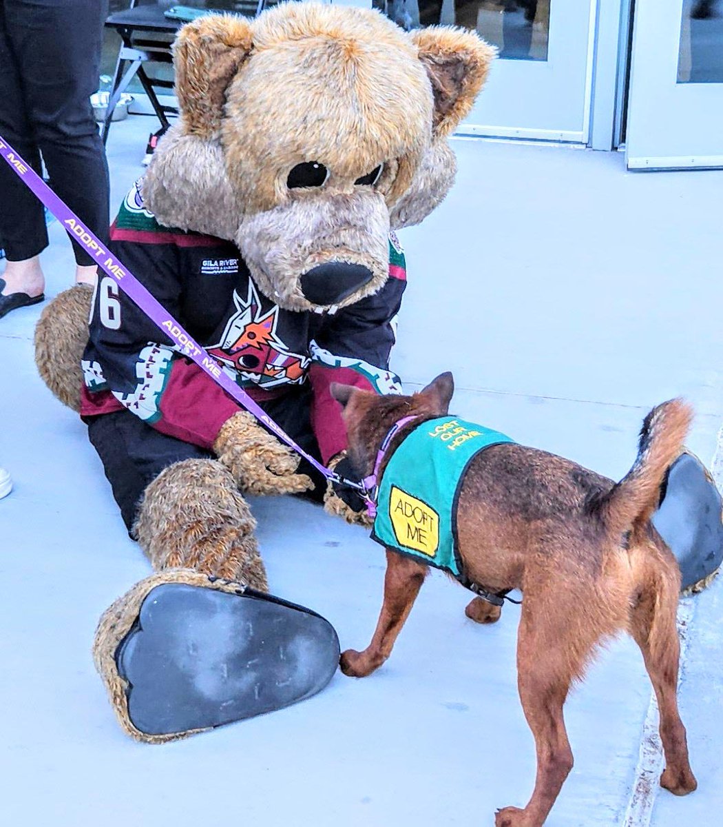 Lost Our Home tweet media