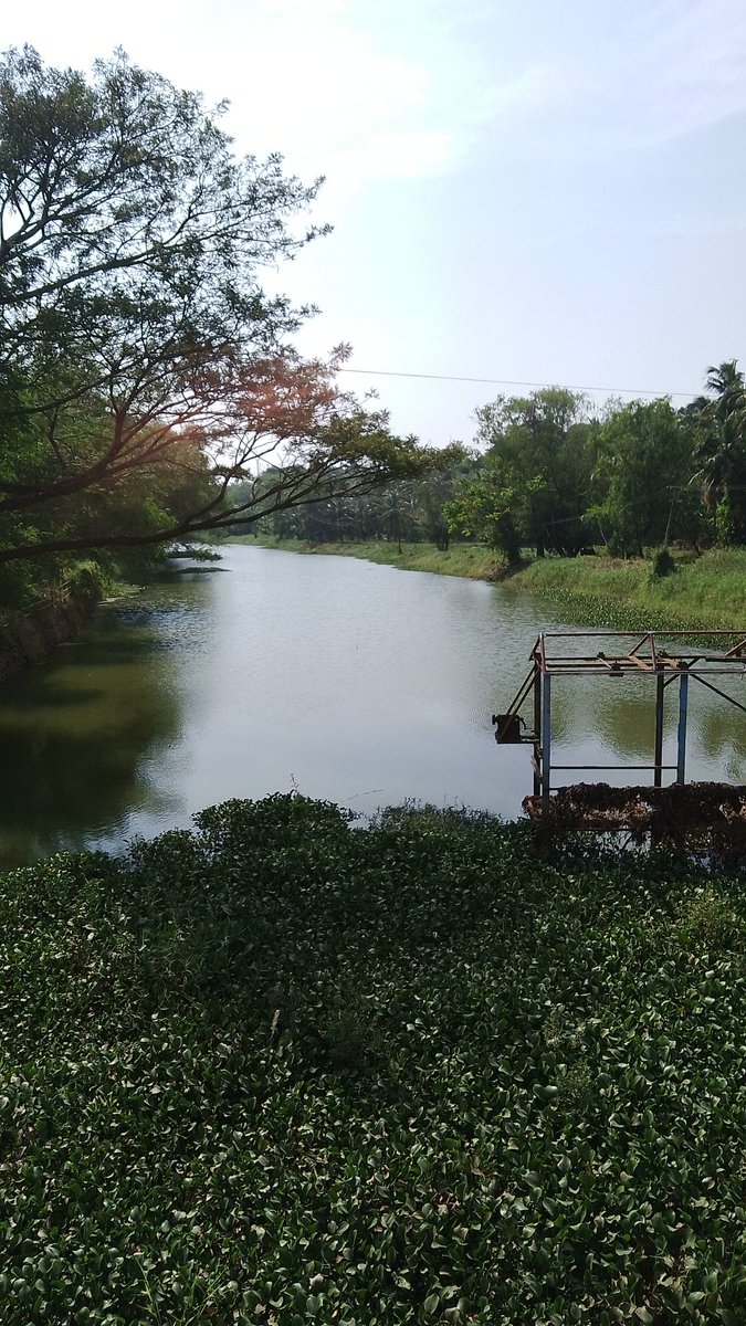 tamraj kilvishereum (@cryptonized_u) on Twitter photo 