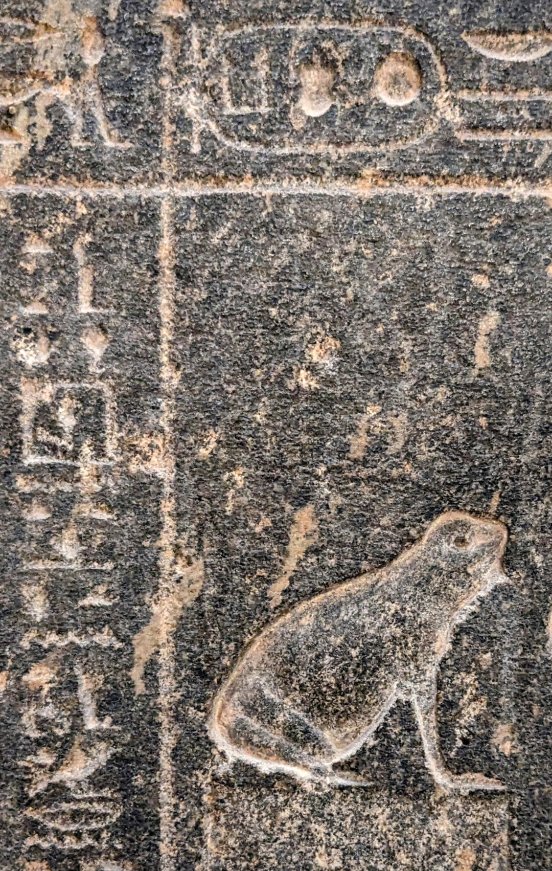 Dr Campbell Price tweet media