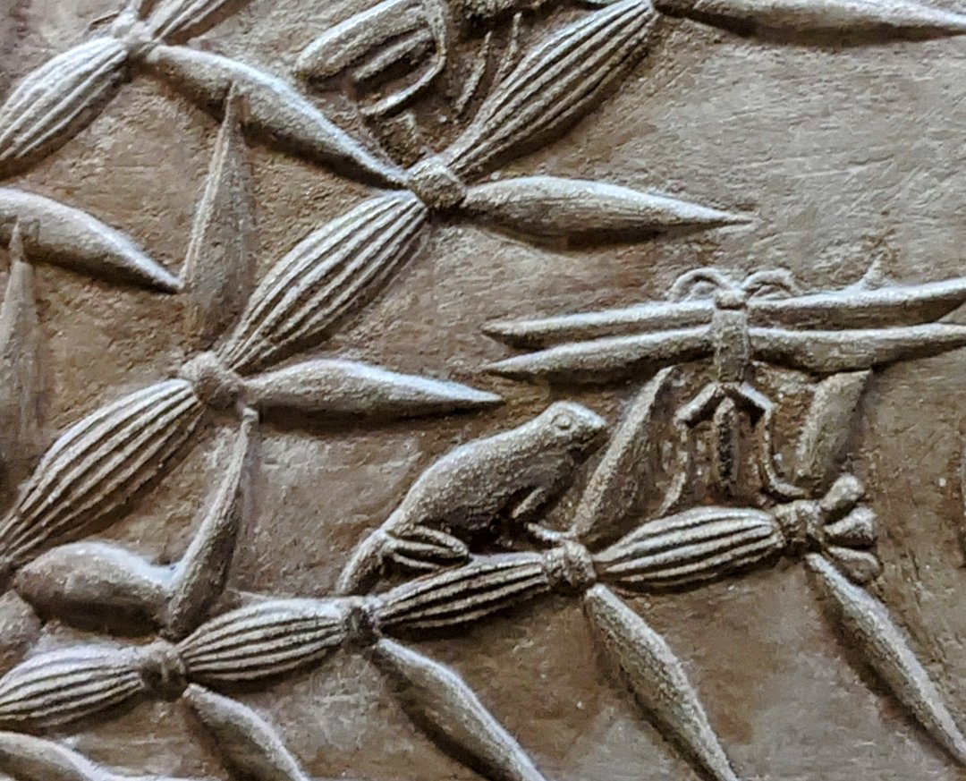 Dr Campbell Price tweet media