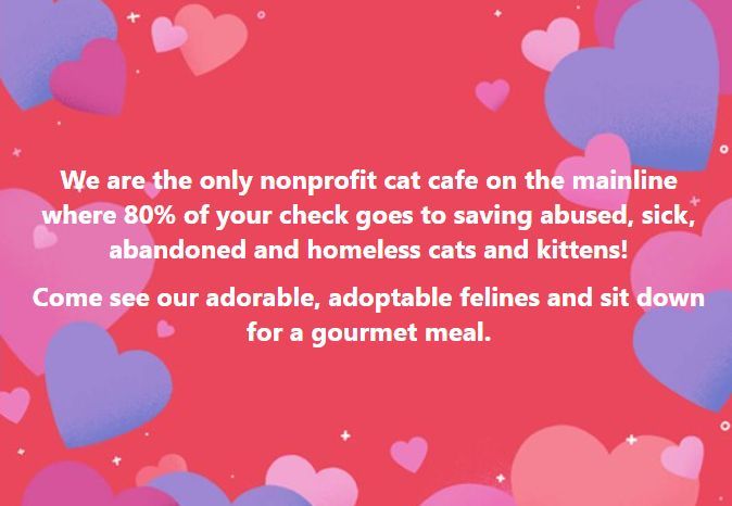 BerkleyBlackCat's tweet photo. The #BlackCatCafé
42 Berkley Road, #DevonPA
https://t.co/mmDSIywd7D
#mainlinelife #mainlineliving #mainlineeats #berwynpa #waynepa #phillyburbs #nonprofit #catcafe #catrescue #eaterphilly #foodielife #cozycafe #foodies #mainlinephilly #phillyeats #catering #events #love https://t.co/P3xBkA7885