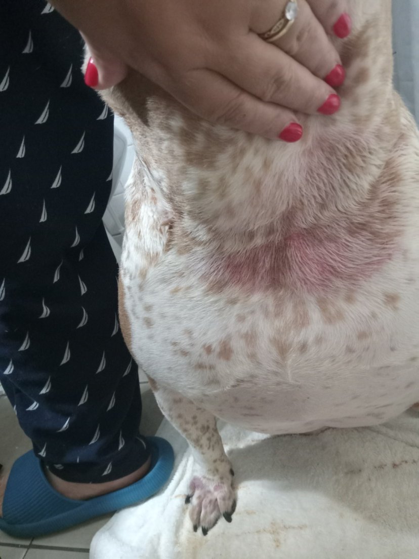 pissedconsumer's tweet image. Are #Hartz products good? PissedConsumer user shares: "...your products have physically harm my dogs and I will be following up with legal representation." Full story here: bit.ly/482wL61

#Pets #Petcare #OnlineReviews