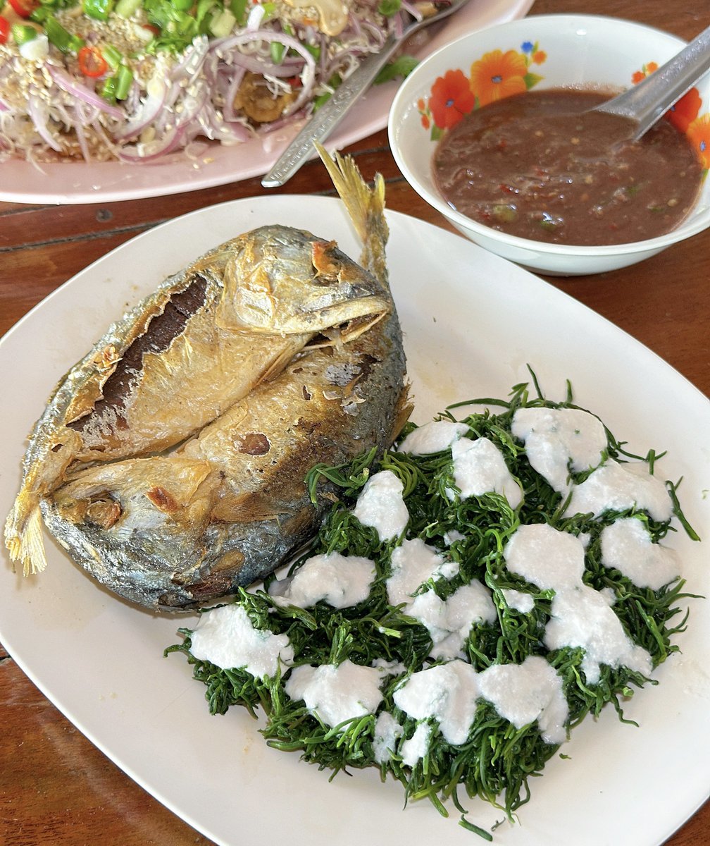 DekChubby2020's tweet photo. ใครที่กำลังจะเดินทางลงใต้ แล้วอยากแวะหาของกินแถวคลองโคน แถวแม่กลอง
อยากกินอาหารรสชาติแบบพื้นบ้านขอแนะนำร้านนี้เลย ร้านอาหารครัวตาหนุ่ย คลองโคน 👍🏻
.
ร้านนี้จะเป็นแนวอาหารพื้นบ้าน ไม่ได้เน้นความหวือหวาของอาหารทะเลไซซ์ยักษ์อะไรแบบนั้น แต่ว่าจะเป็นรสชาติแบบบ้านๆ รสชาติเหมือนทำกินที่บ้าน
ฟีลแบบยายทำให้กินอะไรอย่างงั้นมากกว่า❤️