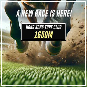 A new race has arrived! The Hong Kong Turf Club is now offering 1650M! 

Now appearing the race cycle, this new race has a whole new set of horse cards! 

See you at the race, jockey!