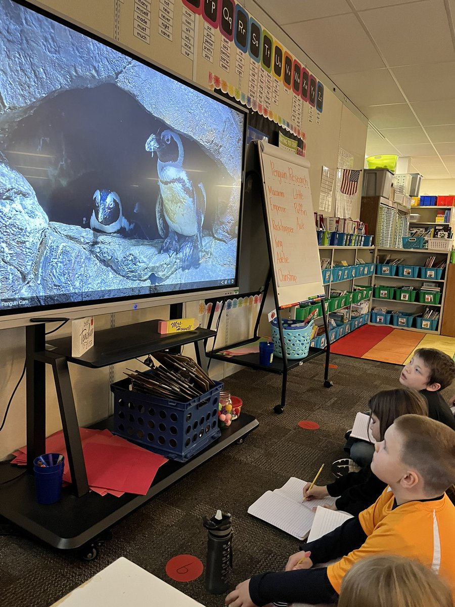 Tusculum View 2nd tweet media