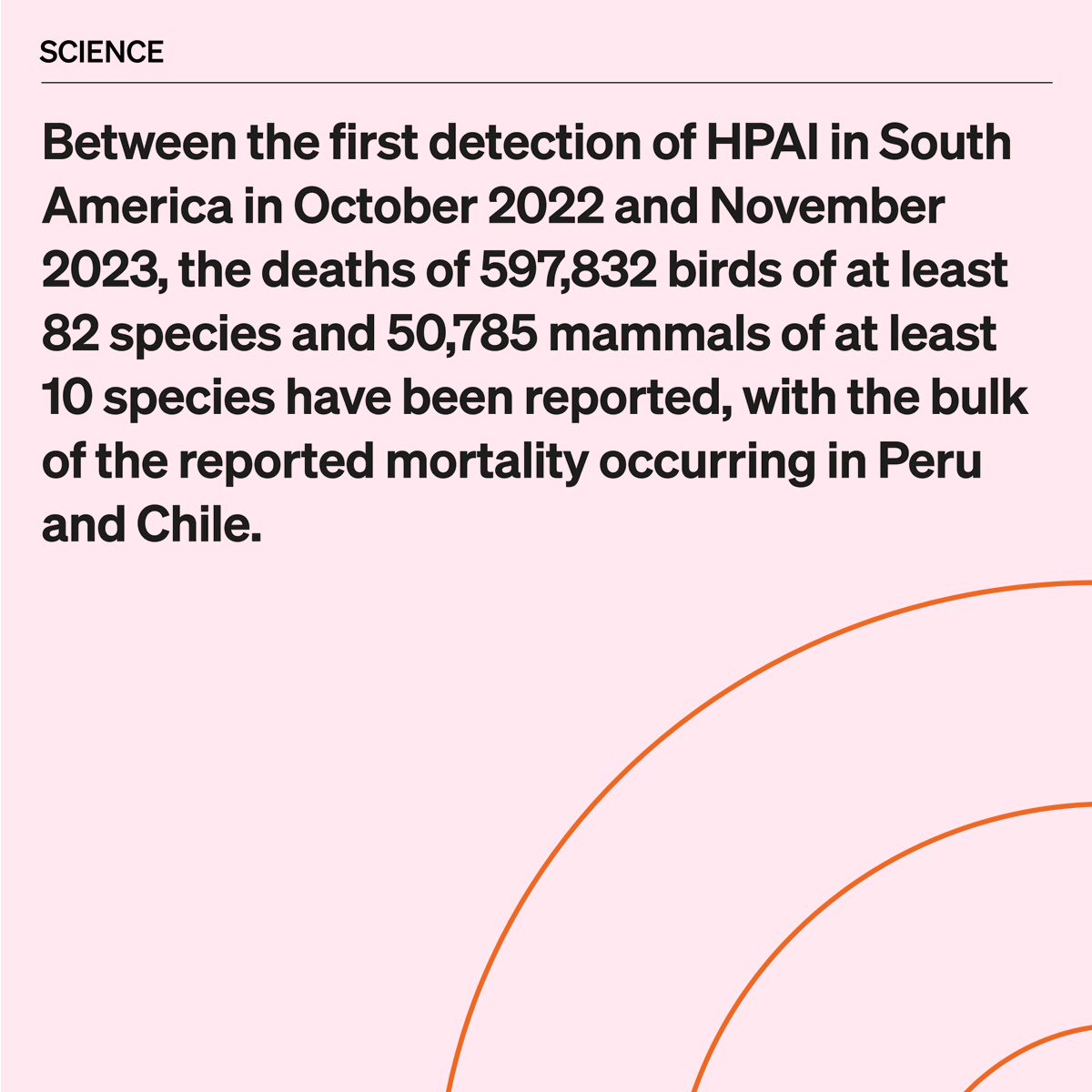 WOAH's tweet photo. It is critical to continue the monitoring and surveillance of HPAI in wildlife populations. Taking biosafety measures to reduce the risk of human-mediated spread of HPAI to new areas, and to reduce the risk of human infection is essential to curtail the disease's spread.