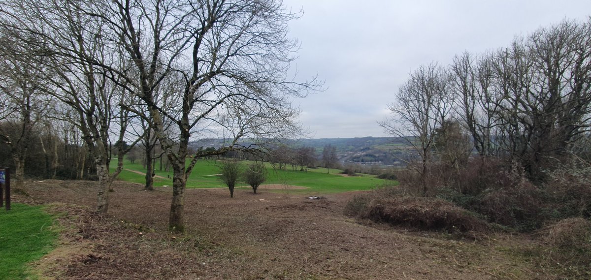 David Sumsion tweet media