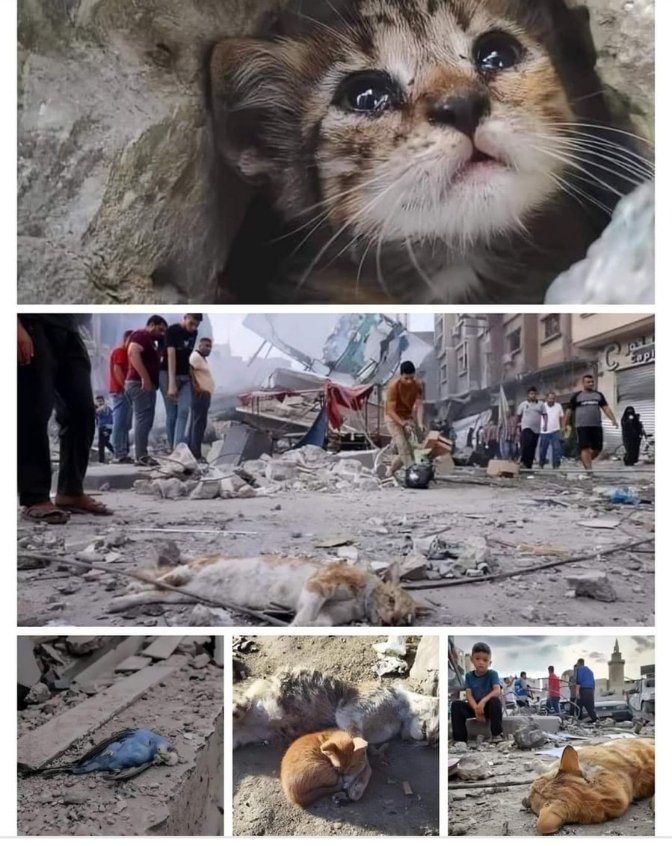 Bemine_kR's tweet photo. #Yemen
#YemenUnderAttack
#RedSe #PAKvsNZ #ลางสังหรณ์ร่ายรํานาคานาคี #wpro #South_Africa
Imagine that all people need peace for living https://t.co/EtpEcXfxz1