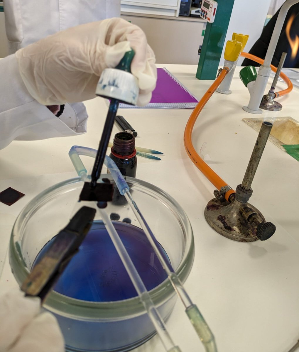 #3ERRONKA #MIKRO
Oporretatik bueltan gure, 👩‍🔬🧑‍🔬 erronkan murgildu dira berriro.
📱-en 🦠-ak isolatu ostean, S.aureus edo S.epidermidis diren identifikatu behar dute. Lehen pausua GRAM TINDAKETA, non🦠-en pareta mota eta forma aztertu ahalko duten.
<a href="/FPeuskadi/">FPeuskadi</a> #ikertzenikasten