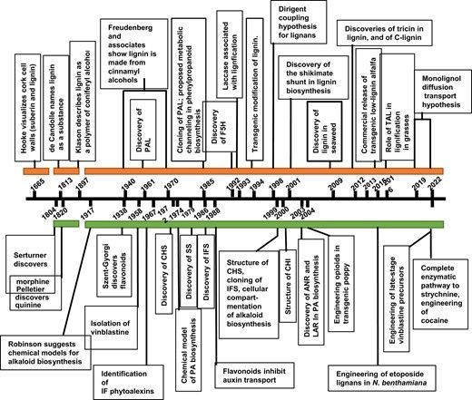 A century of studying plant secondary metabolism—From “what?” to “where, how, and why?” 

academic.oup.com/plphys/advance… 
#plantscience ♻️