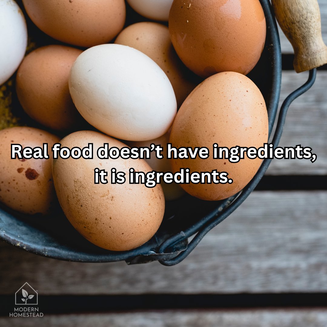 ModernHomeHQ's tweet photo. And even better when it comes from your own backyard!

#modernhomestead #homestead #offgrid #offgridliving #growfood https://t.co/FebfUIn8iy