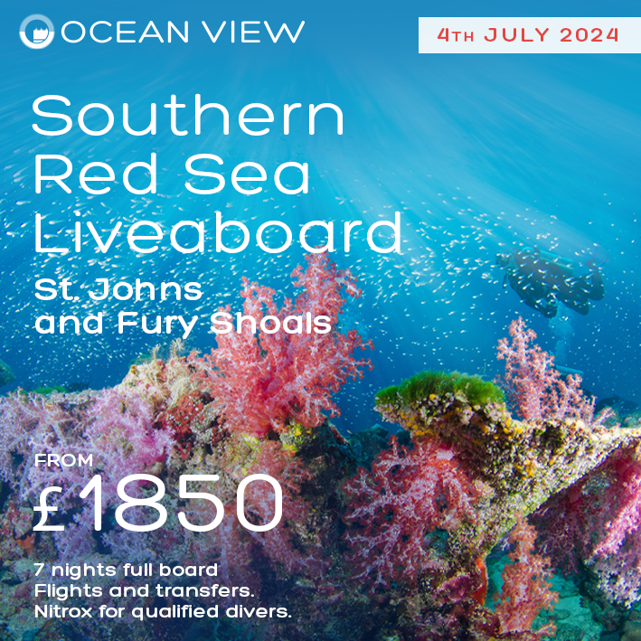 oceanviewdiving's tweet photo. Red Sea Liveaboard
South &amp; St Johns
4th – 11th July 2024

Now that the bustle of Christmas is over, what better time to start thinking about booking a holiday this summer.

Cost:  from £1850 per person - full (soft) board

Call us or drop into the shop. https://t.co/MtnlYa4bWn