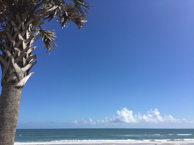 TheMattViera's tweet photo. Build a life that you can:

• Wake up without an alarm clock
• Have breakfast at a seaside restaurant
• Let your days develop organically
• Sit in a café and read for hours
• Spend time with loved ones
• Slow down
• Explore
• Live https://t.co/JvXJnn5kjG