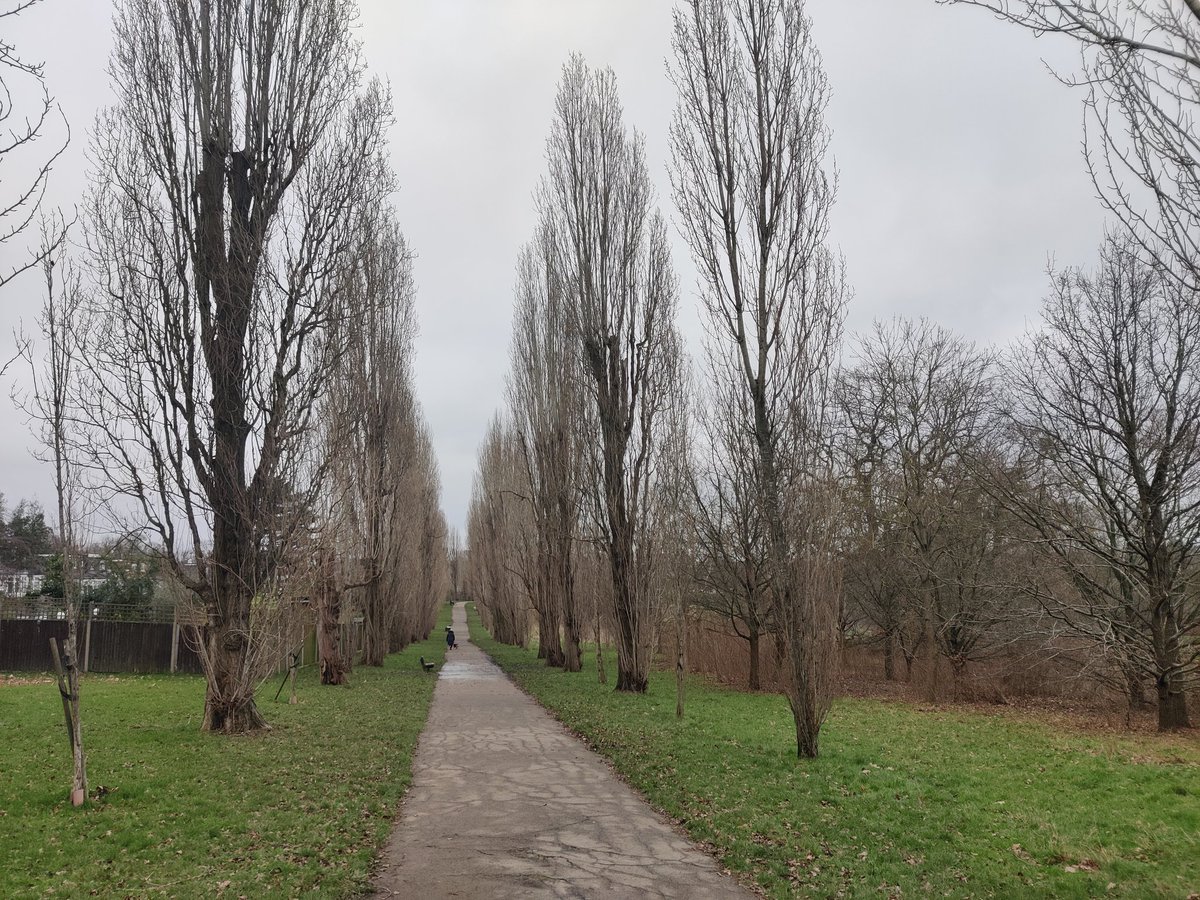 Today's walking view.
#OakwoodPark.
Dull, damp and chilly