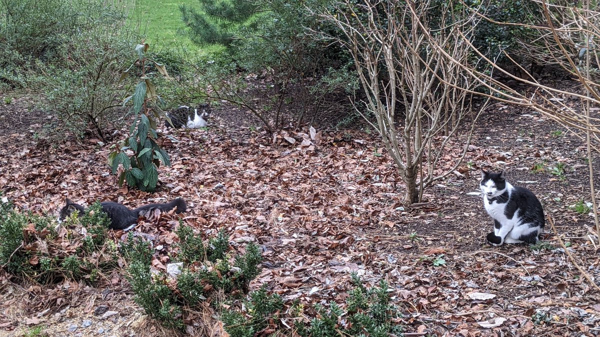 Andy Carslaw tweet media