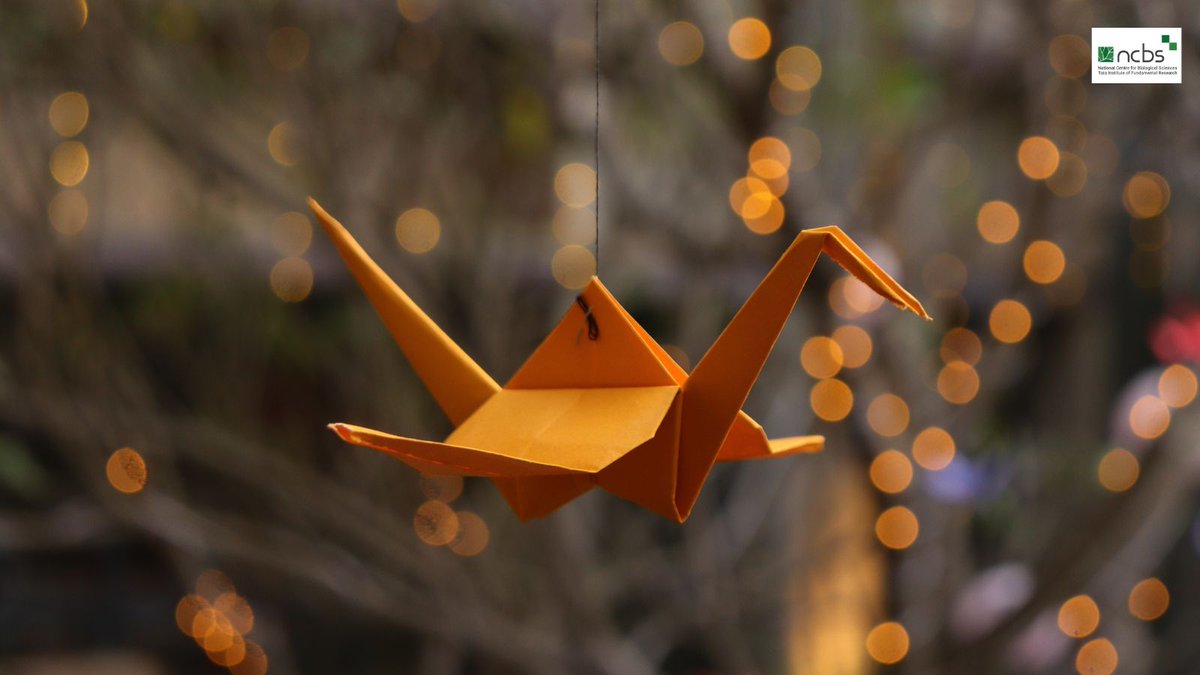 National Centre for Biological Sciences tweet media