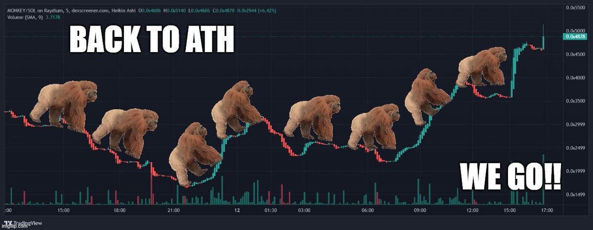 marzthefirst's tweet photo. $MONKEY FOLLOW $MONKEY
@monkeyonsol #monkeyonsol https://t.co/ugwu5Akqhk