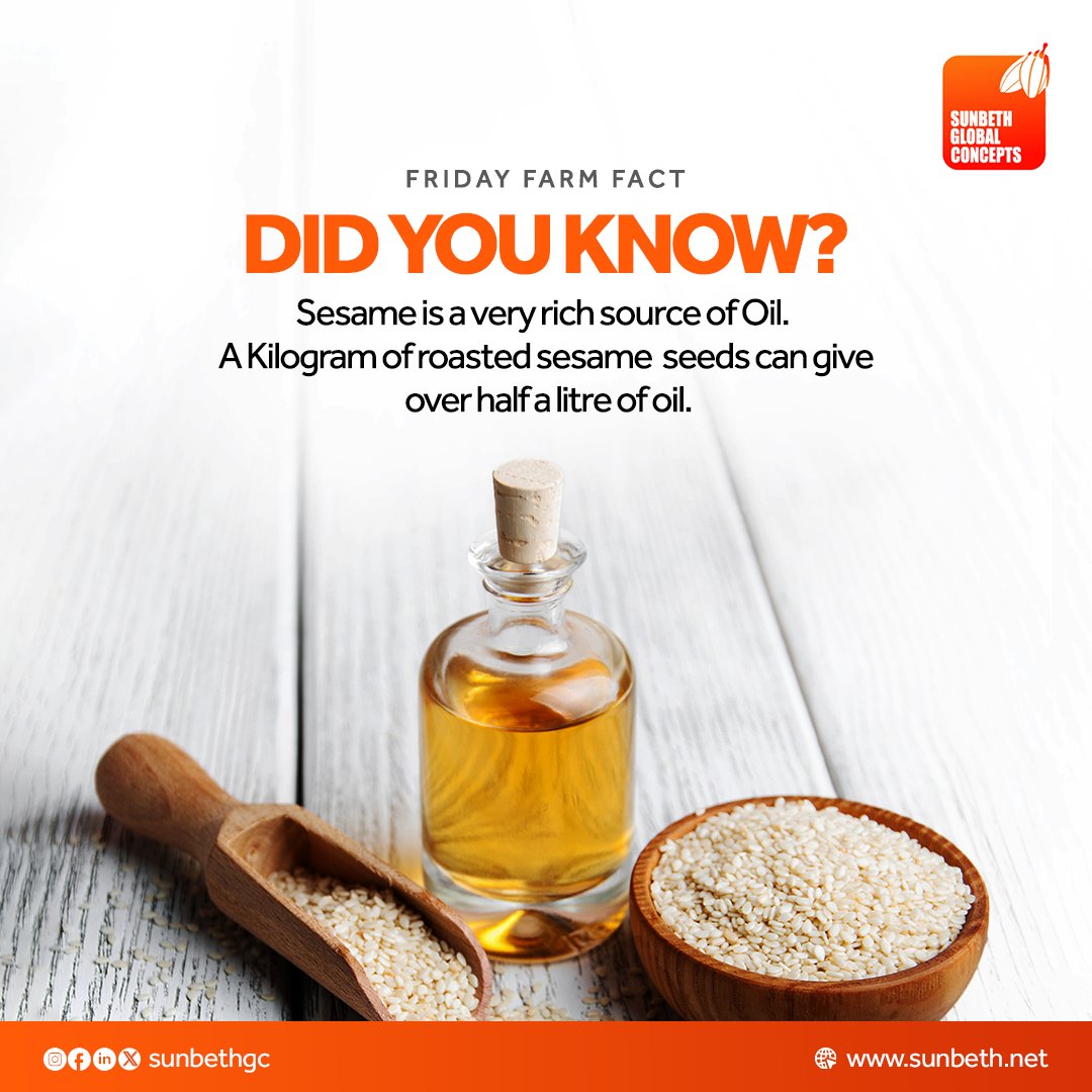 sunbethgc's tweet photo. Did you know sesame is a rich source of oil?

#fridayfarmfact #sunbethglobalconcepts #tgif #sgcl https://t.co/C6RDXGdZPq