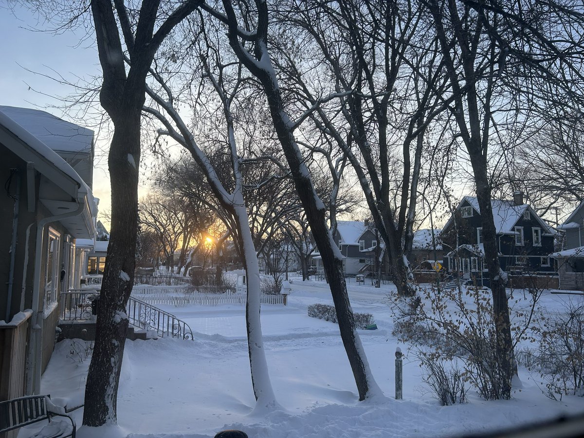 brent_a_johnson's tweet photo. The sun just peeking through the trees on this cold, clear Friday morning. #luxton #northend https://t.co/5yHWF1W6ZL