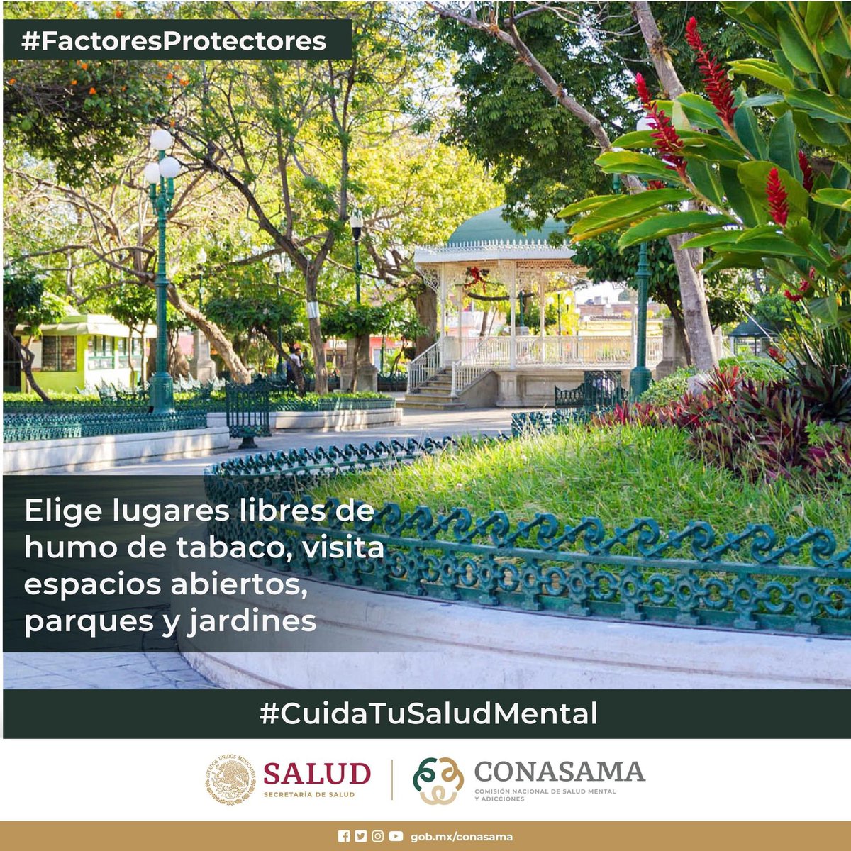 CecosamaHillo's tweet photo. Dejar de fumar es un #FactorProtector para el desarrollo de algunos tipos de cáncer y enfermedades cardiovasculares Dejar de fumar no debe ser sólo un propósito, debe ser una decisión. Llama a la Línea De La Vida 📲 800 911 2000 #TeEscuchamos #SinTabaco #NosCuidamos https://t.co/WD15f2VBvR