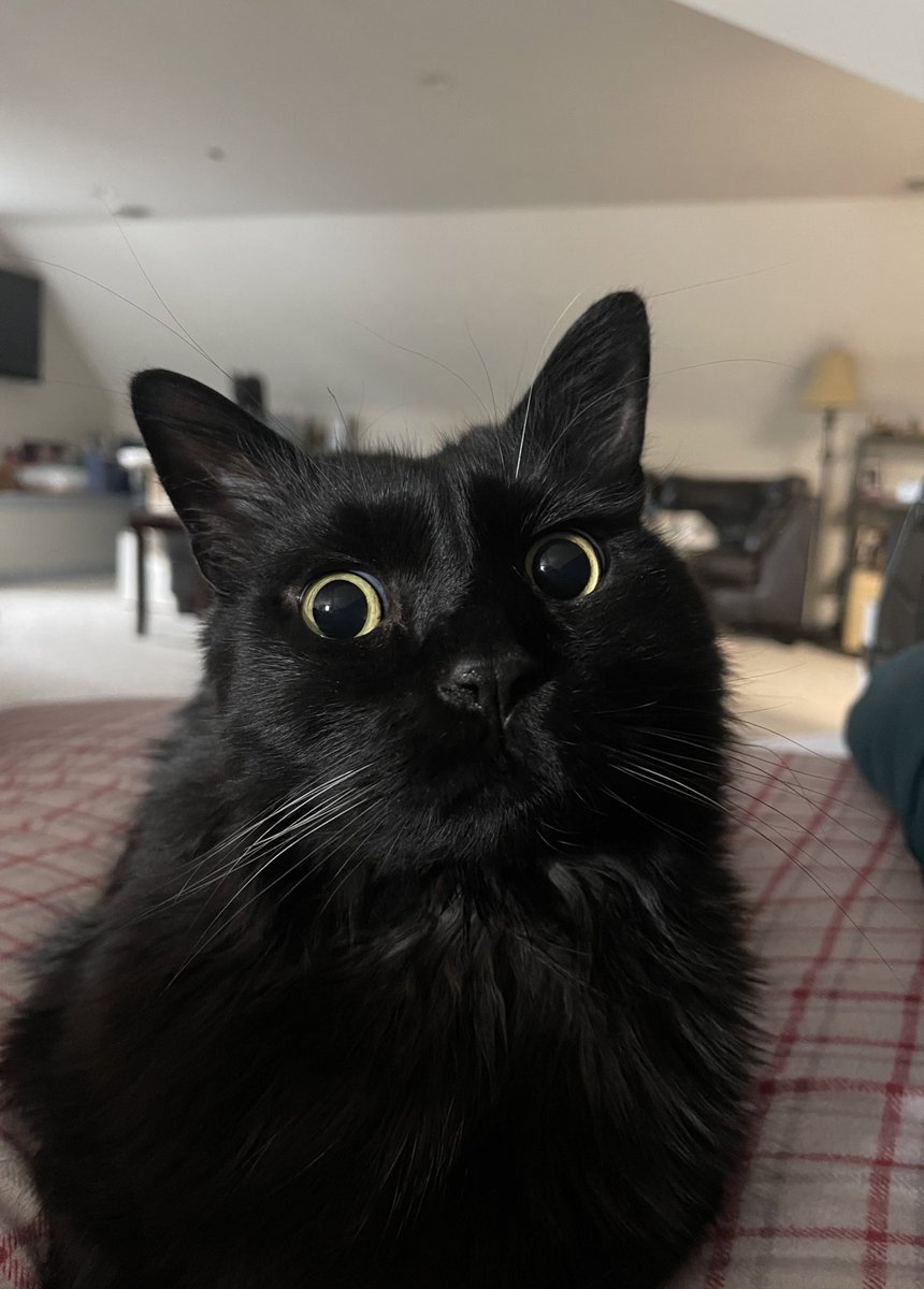 goob morning