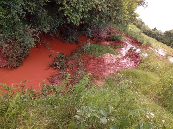 elnacionalpy's tweet photo. PARAGUAY QUE DUELE | 🇵🇾💔

🔹Imágenes del arroyo letalmente contaminado en Paso Yobái tras el desborde de una pileta de desechos de una planta procesadora de oro en la que utilizan cianuro. 

🔹La Fiscalía y el Ministerio del Ambiente investigan este grave caso de contaminación de un recurso natural. 

#ElNacional
