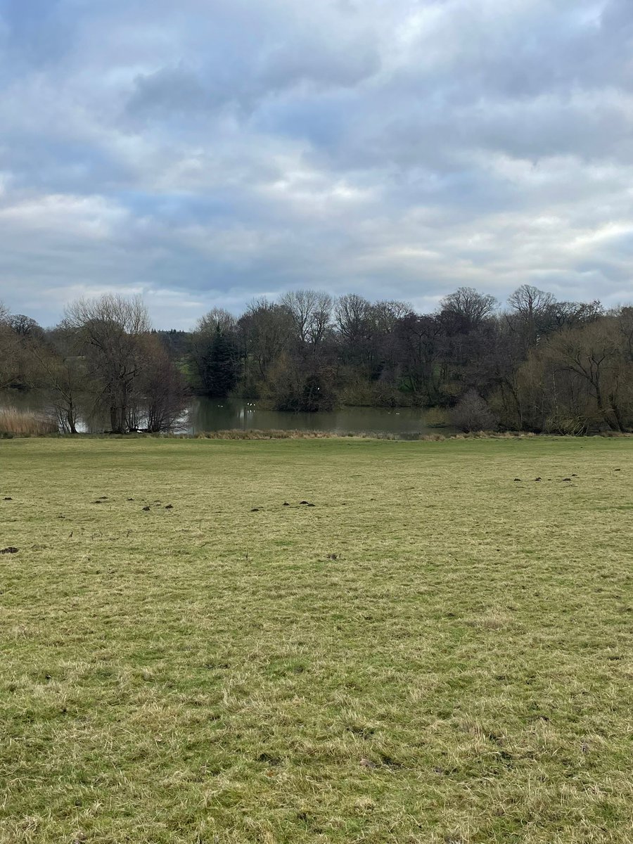 Montgomeryshire WT tweet media