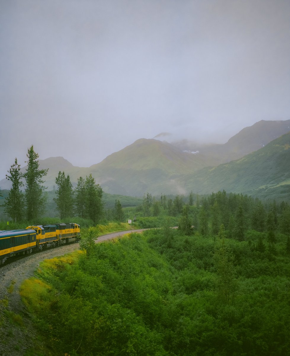 AlexKittoe's tweet photo. Passing Pines 🎞️ https://t.co/WcCydGFkGG