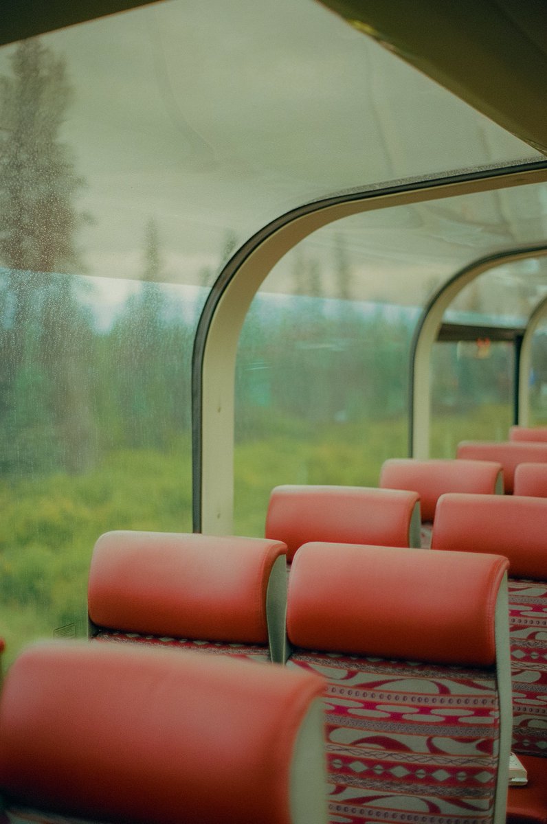 AlexKittoe's tweet photo. Passing Pines 🎞️ https://t.co/WcCydGFkGG