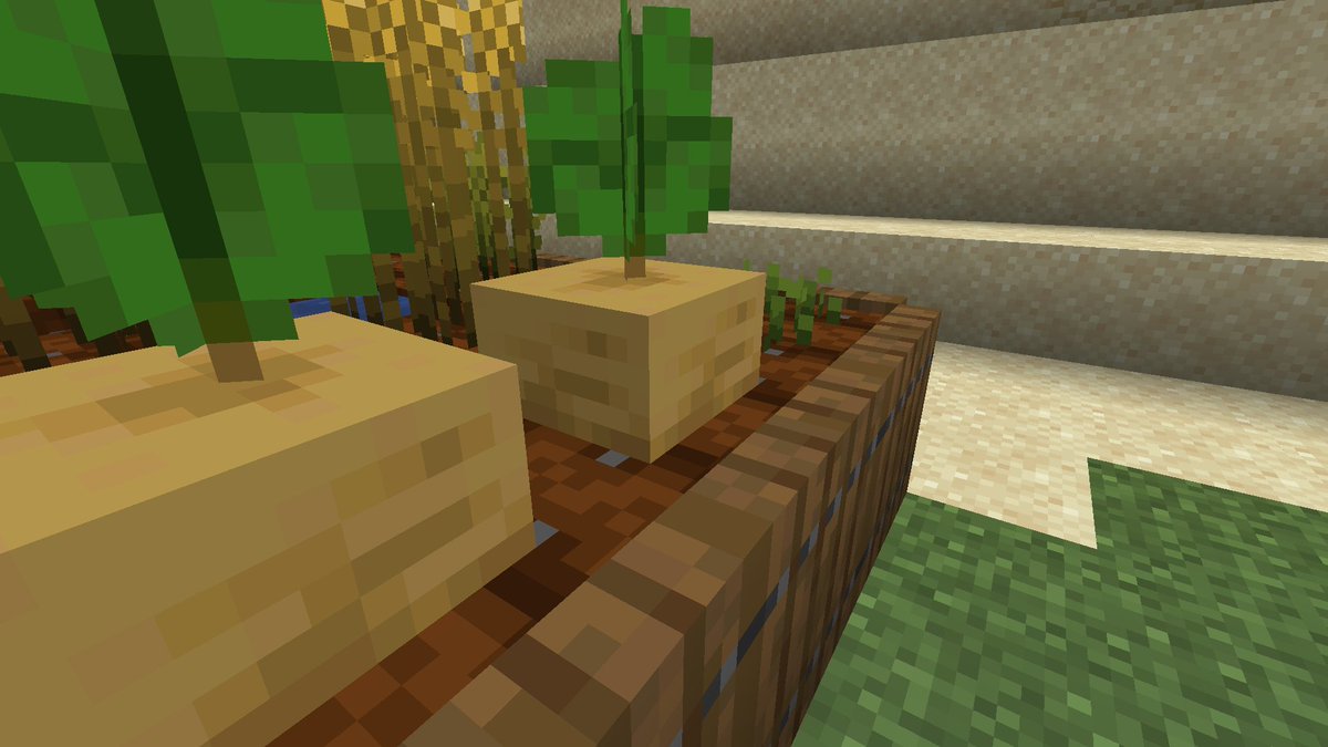 Bontiful tweet media