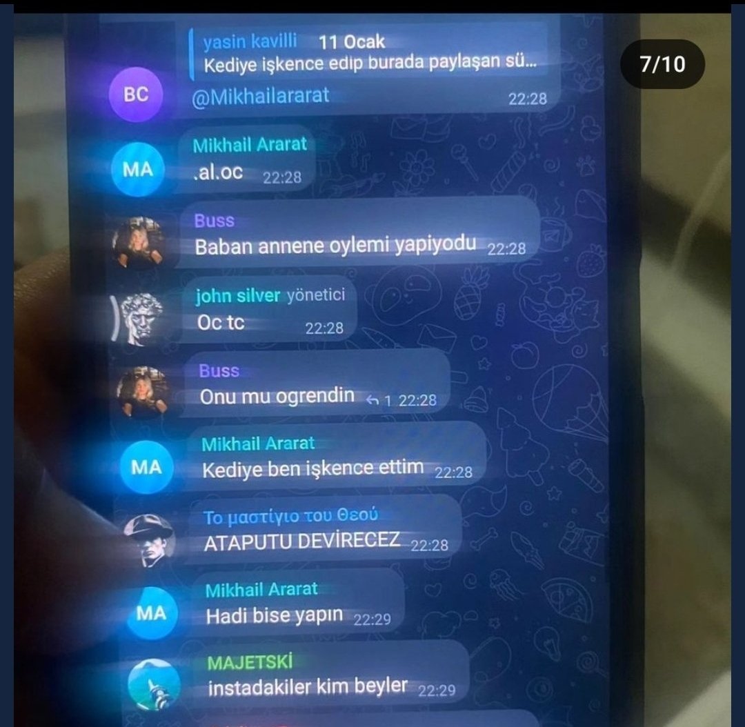 brlstr1's tweet photo. Kedilere işkence eden ve bunu sosyal medya hesaplarından paylaşan örgüt bulunsun. 
#c31ktutuklansın
#SokakHayvanlarıSahipsizDeğil https://t.co/tkTLvvsLmK