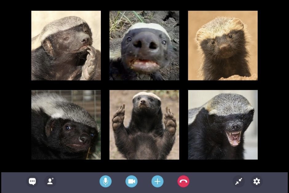 alshoneybadgers's tweet photo. Each week, honeybadger advocates from around the country hold a zoom roundup to discuss the projects that are important to them and brainstorm ways to support each other. 

We know that there is strength and power in numbers.

What are your passion projects? Let’s chat! 

#endALS https://t.co/gQQib2C2pX