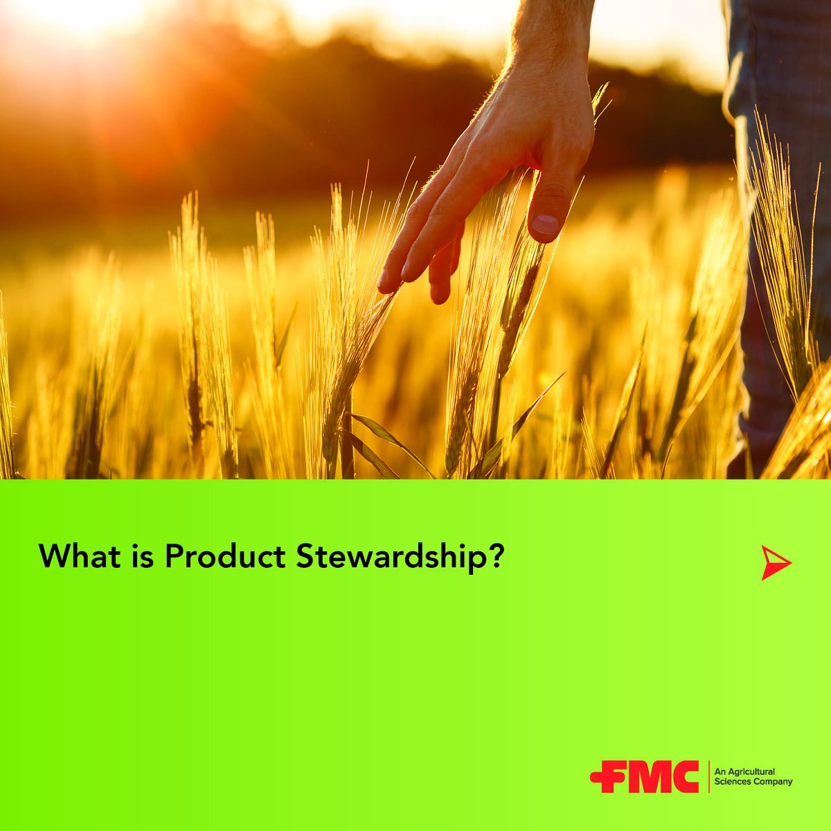 FMC EMEA tweet media