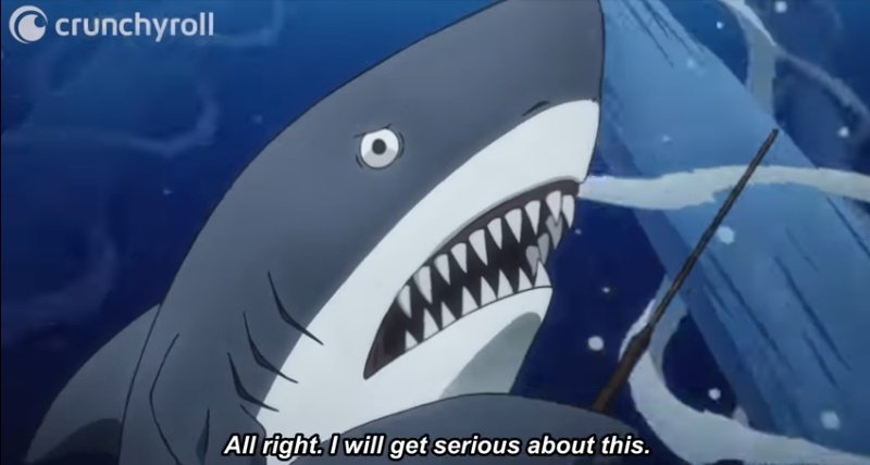 Lizhasfeathers's tweet photo. Shark wizard is getting serious. https://t.co/uboGt4BEyH