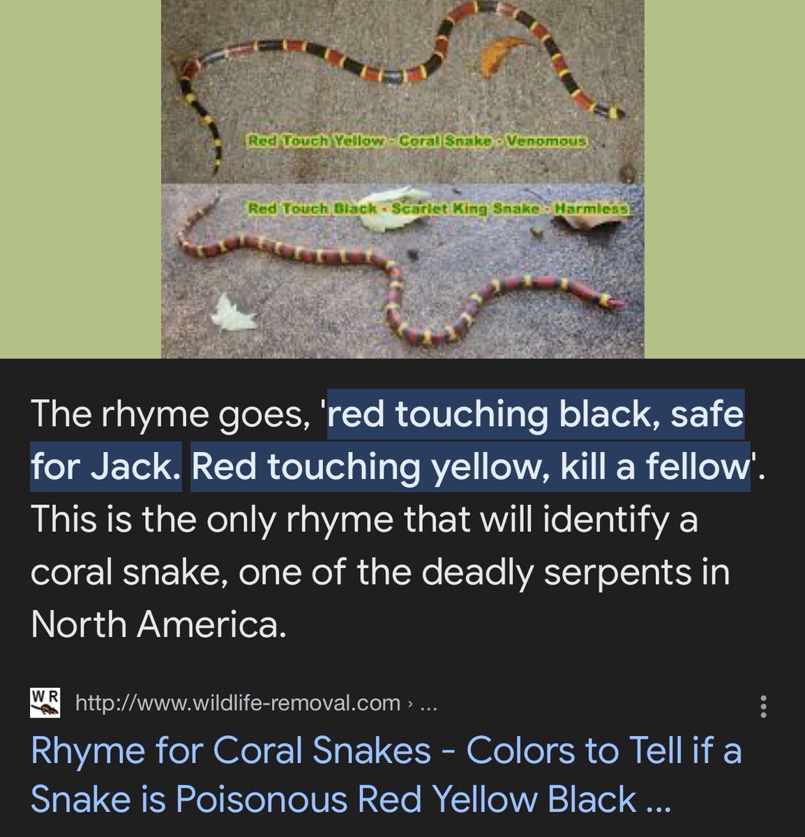 Teale Dvornik tweet media