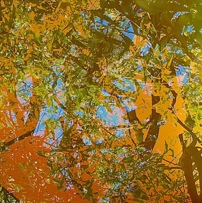 CanadianBeats1's tweet photo. Toronto's Gollden (@ColletteAndrea) and Willows8ng have unveiled the three-song ambient/ instrumental EP, Bathe In Colour. Head to #CanadianBeats now to read our 2-song focus EP review and listen for yourself! https://t.co/y6goLh8k8V https://t.co/Lo4OzX7gaT