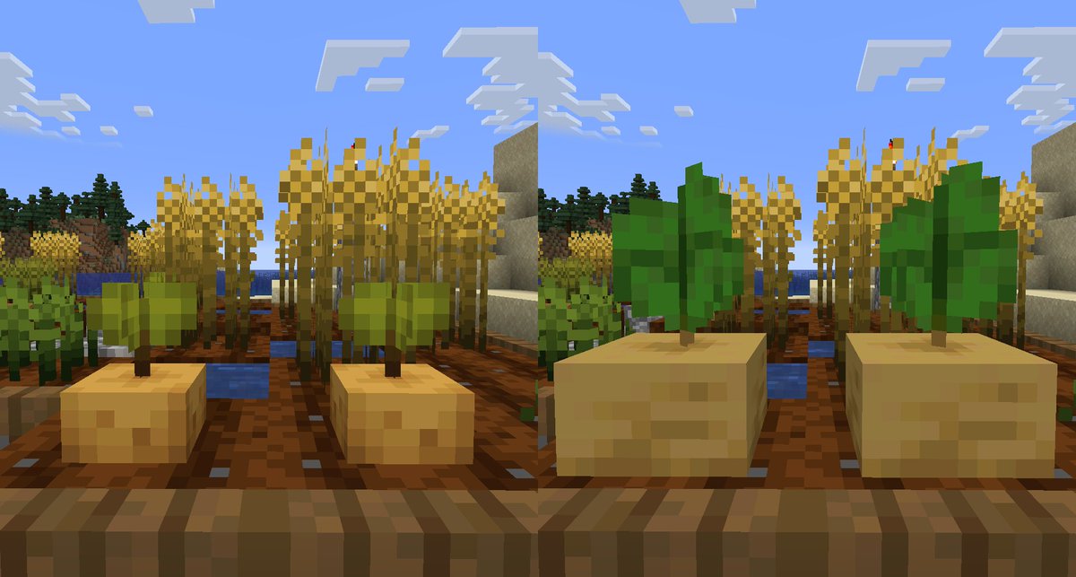 Bontiful tweet media