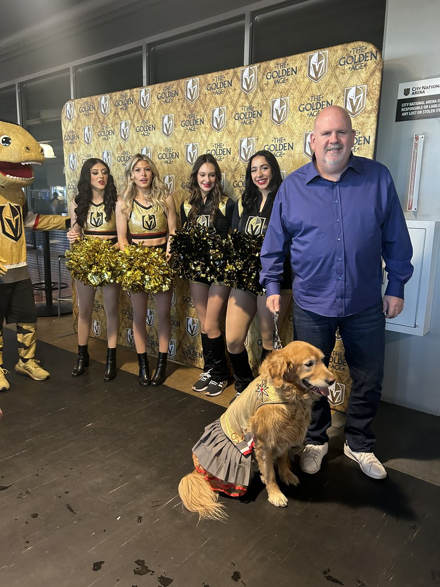 Goldie_Vegas's tweet photo. Let us not forget…WE are the champions! #ithurtstowin #goKnightsgo #loveGoldie https://t.co/MB0xF9rnh4